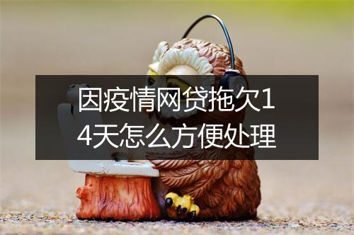 因疫情网贷拖欠14天怎么方便处理
