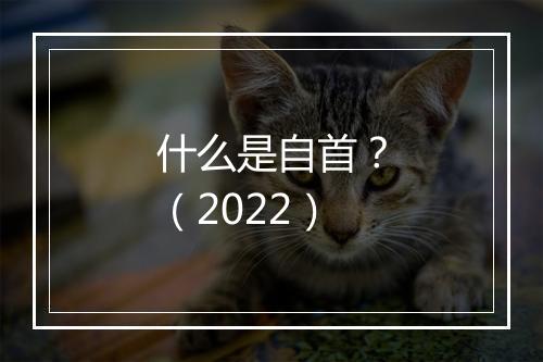 什么是自首？（2022）