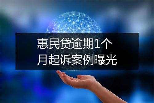 惠民贷逾期1个月起诉案例曝光