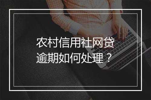 农村信用社网贷逾期如何处理？