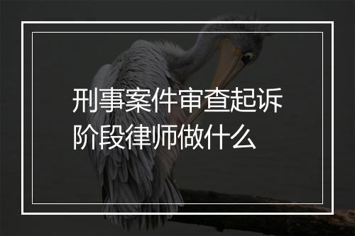 刑事案件审查起诉阶段律师做什么