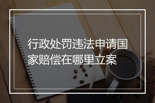 行政处罚违法申请国家赔偿在哪里立案