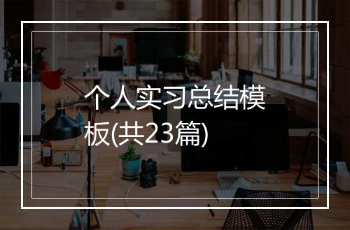 个人实习总结模板(共23篇)