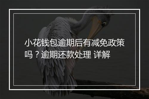 小花钱包逾期后有减免政策吗？逾期还款处理 详解