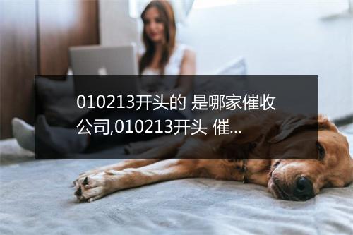 010213开头的 是哪家催收公司,010213开头 催收怎么处理