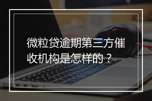 微粒贷逾期第三方催收机构是怎样的？