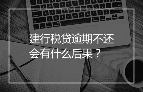 建行税贷逾期不还会有什么后果？