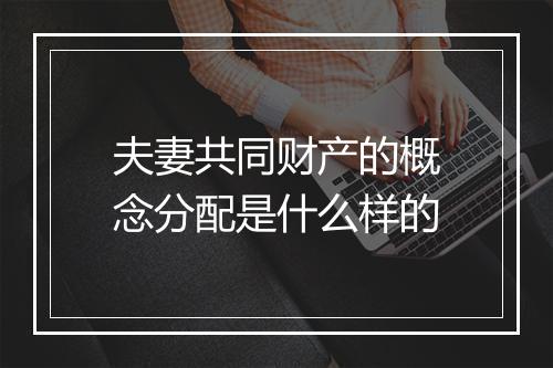 夫妻共同财产的概念分配是什么样的