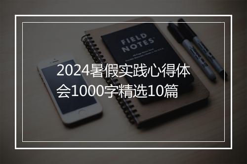2024暑假实践心得体会1000字精选10篇