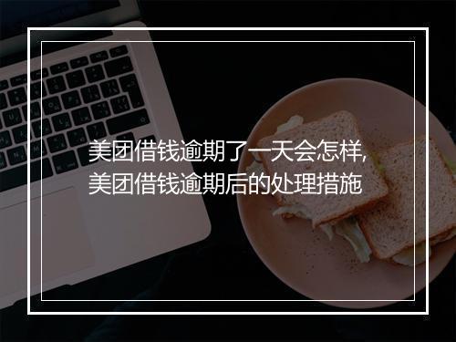 美团借钱逾期了一天会怎样,美团借钱逾期后的处理措施