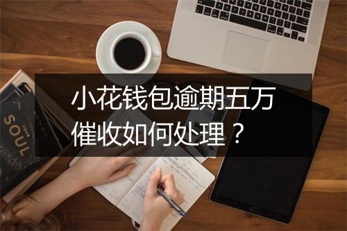 小花钱包逾期五万催收如何处理？