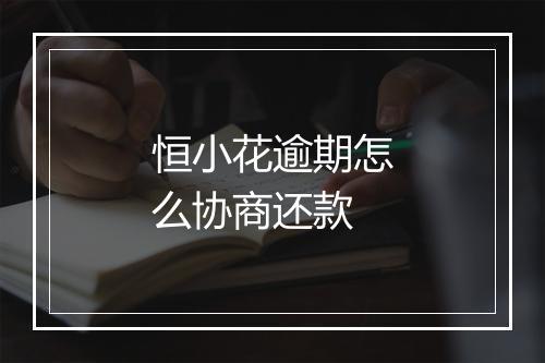 恒小花逾期怎么协商还款