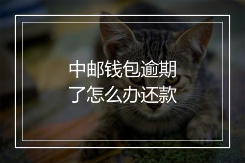 中邮钱包逾期了怎么办还款