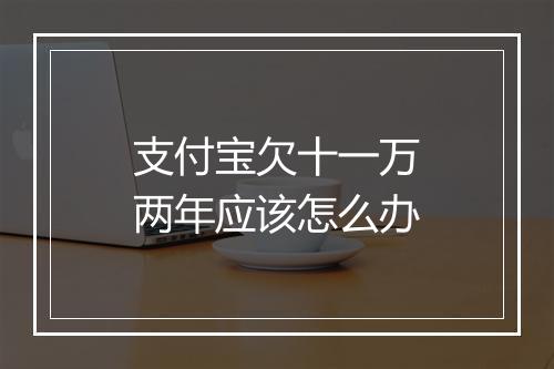 支付宝欠十一万两年应该怎么办