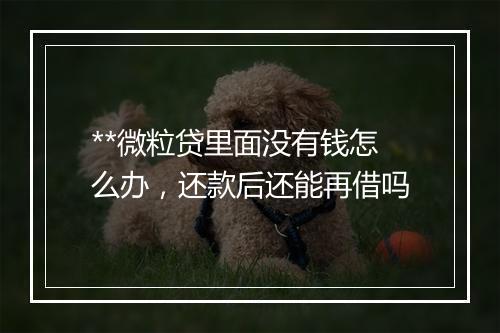 **微粒贷里面没有钱怎么办，还款后还能再借吗