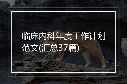 临床内科年度工作计划范文(汇总37篇)