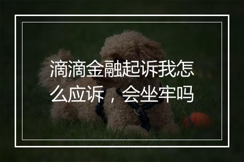 滴滴金融起诉我怎么应诉，会坐牢吗
