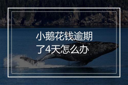 小鹅花钱逾期了4天怎么办
