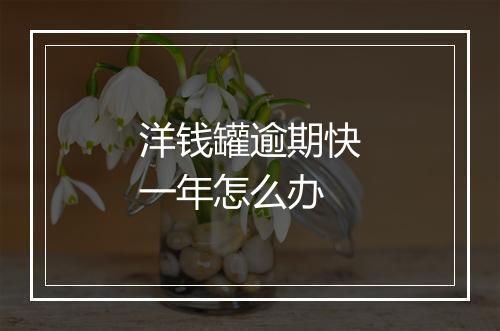 洋钱罐逾期快一年怎么办