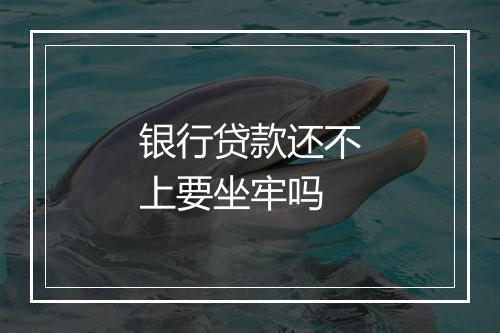 银行贷款还不上要坐牢吗