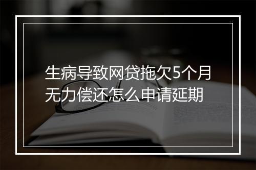 生病导致网贷拖欠5个月无力偿还怎么申请延期