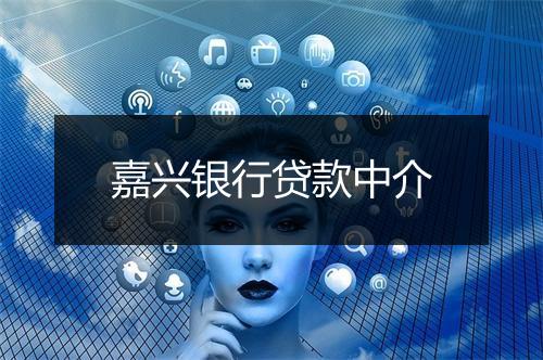 嘉兴银行贷款中介