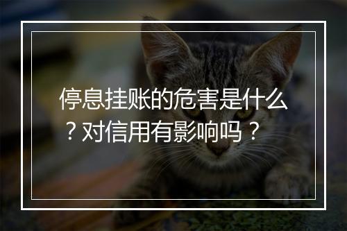 停息挂账的危害是什么？对信用有影响吗？