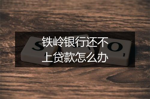 铁岭银行还不上贷款怎么办