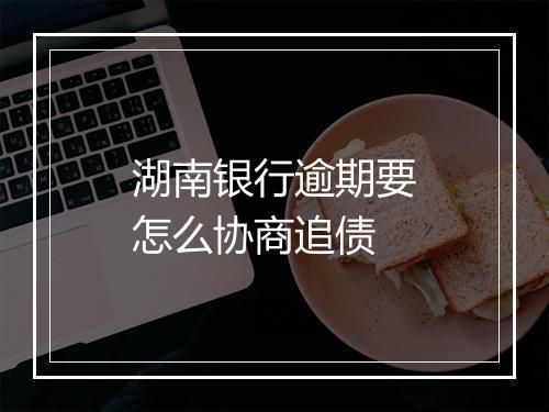 湖南银行逾期要怎么协商追债