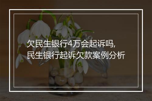 欠民生银行4万会起诉吗,民生银行起诉欠款案例分析