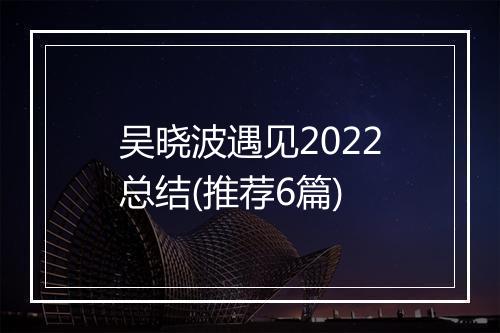 吴晓波遇见2022总结(推荐6篇)