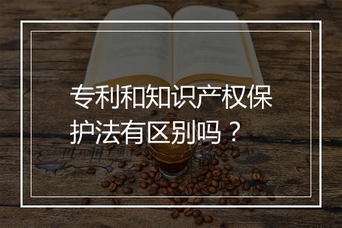 专利和知识产权保护法有区别吗？