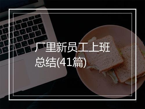 厂里新员工上班总结(41篇)