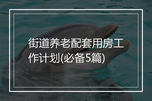 街道养老配套用房工作计划(必备5篇)