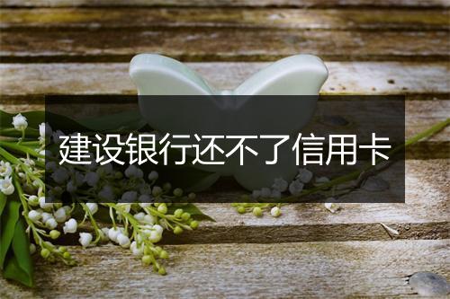 建设银行还不了信用卡