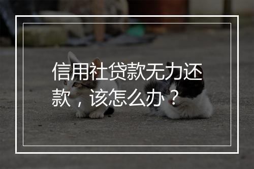 信用社贷款无力还款，该怎么办？