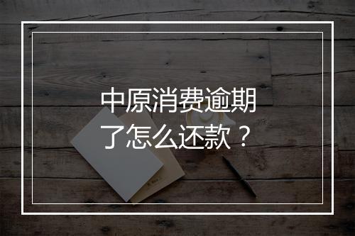 中原消费逾期了怎么还款？