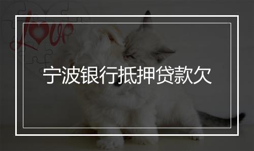 宁波银行抵押贷款欠