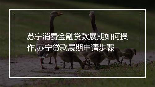 苏宁消费金融贷款展期如何操作,苏宁贷款展期申请步骤