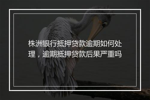 株洲银行抵押贷款逾期如何处理，逾期抵押贷款后果严重吗
