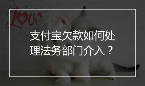 支付宝欠款如何处理法务部门介入？