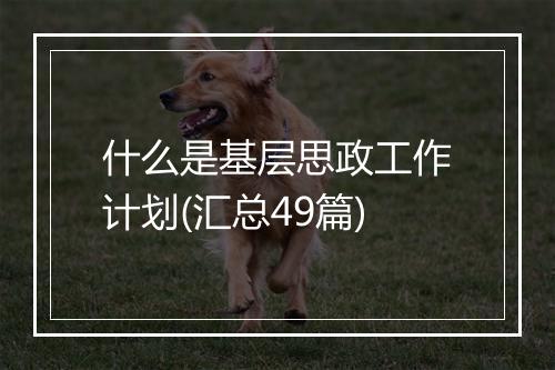 什么是基层思政工作计划(汇总49篇)