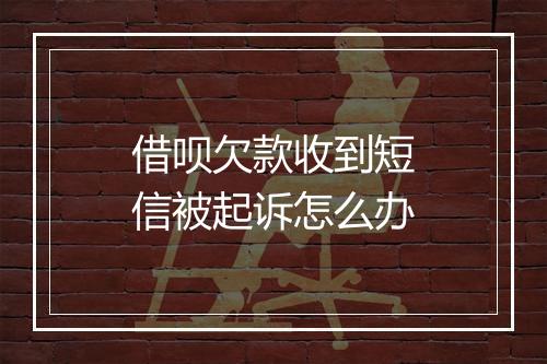 借呗欠款收到短信被起诉怎么办