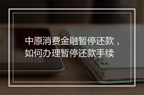 中原消费金融暂停还款，如何办理暂停还款手续