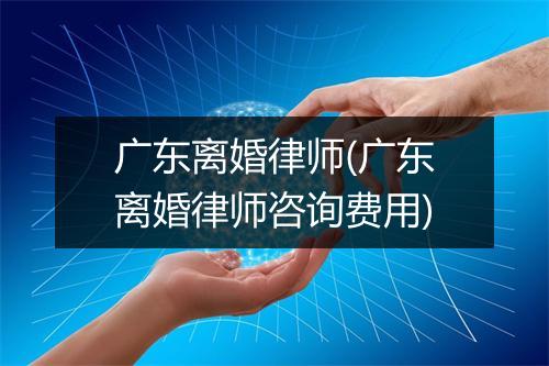 广东离婚律师(广东离婚律师咨询费用)