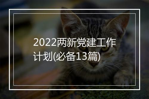 2022两新党建工作计划(必备13篇)
