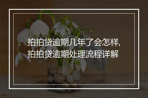 拍拍贷逾期几年了会怎样,拍拍贷逾期处理流程详解