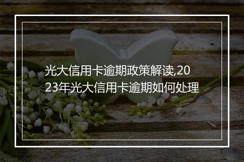 光大信用卡逾期政策解读,2023年光大信用卡逾期如何处理