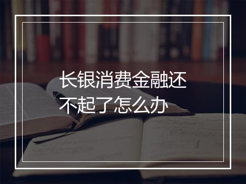 长银消费金融还不起了怎么办