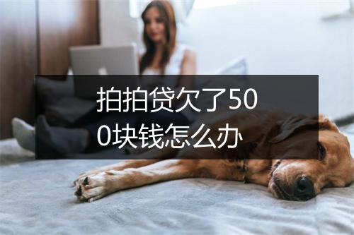 拍拍贷欠了500块钱怎么办